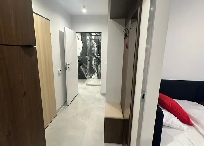 Czarne Owce Apartamento *